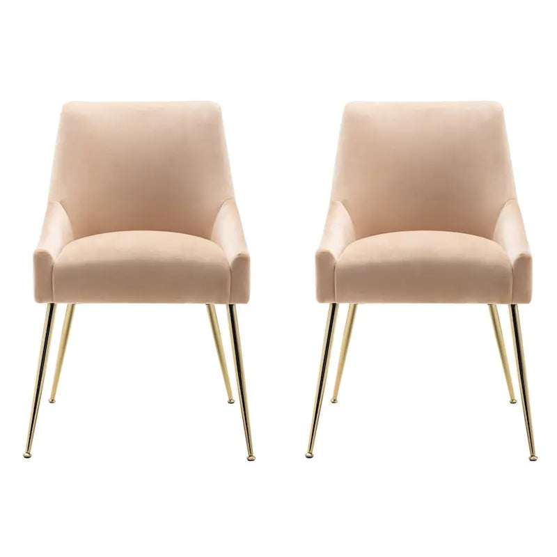 Arcadia Contemporary Velvet Upholstered Accent Chair (Set of 2)
