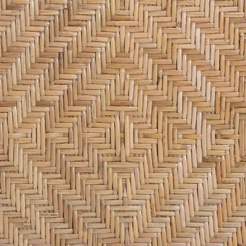 Ayana Mid-Century Modern Two-Tone Black and Natural Brown Rattan Dining Chair