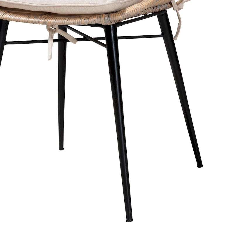 Brenna Modern Bohemian Rattan and Metal 2-Piece Dining Chair Set
